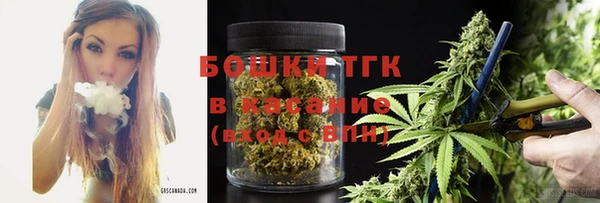 амф Бородино