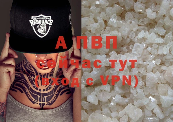первитин Богданович