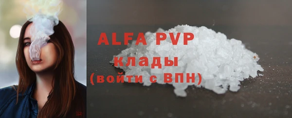 амф Бородино