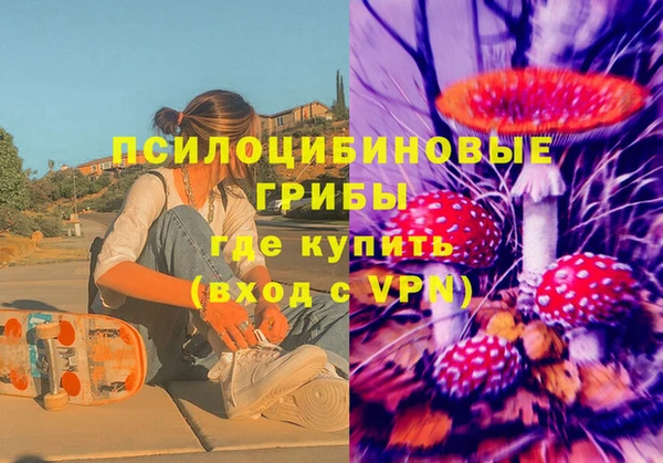 первитин Богданович
