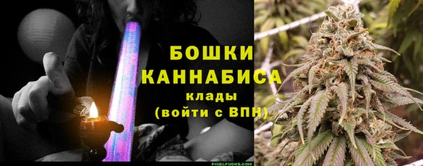 стаф Бугульма