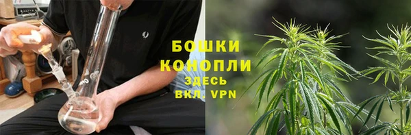 первитин Богданович